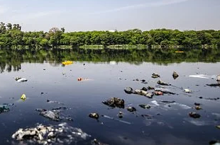 完成治理的部分水體返黑返臭 河長制為何形同虛設？